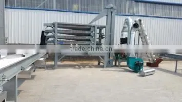 Peanut Sorter photo-6