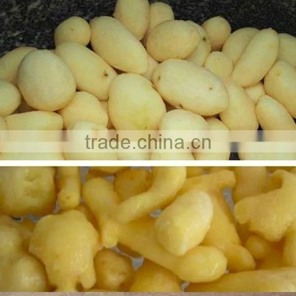 Electric Brush Vegetable Washer/potato Peeling Carrot Cleaning Machine photo-2