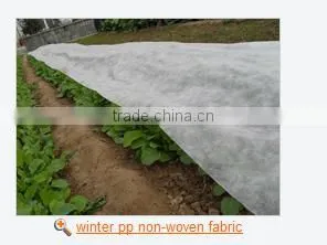 Agriculture Nonwoven Cover Fabric for Ground Cover photo-4