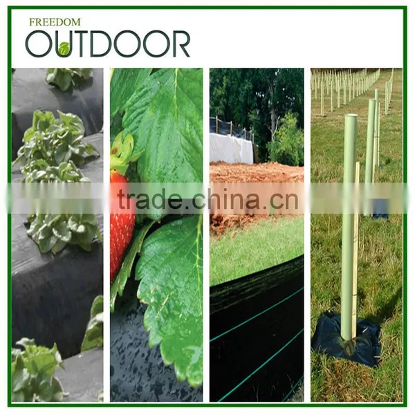 Black Plastic Ground Cover photo-2