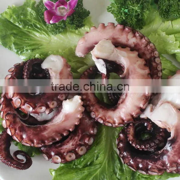 Frozen Food for Sale Octopus Cutting photo-3