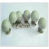 Suction ECG Electrodes photo-2