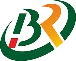 Borui Precision Techinic Co., Ltd
