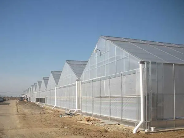 Gable Greenhouse 7500 Series From House Garden to Super Large Size photo-2