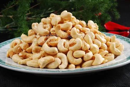 Cashew Drying Machine photo-4