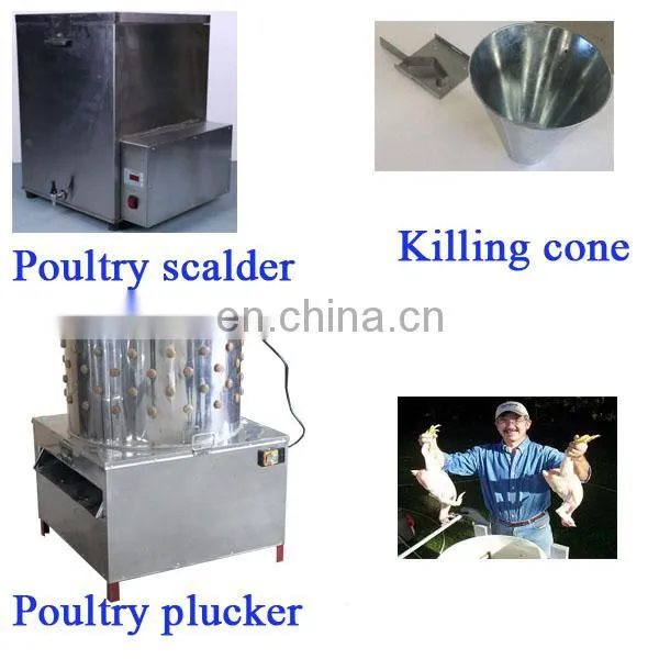 TM-65 Best Quality Slaughter Device Poultry Hair Removal Machine Chicken Feather Removal Machine photo-2