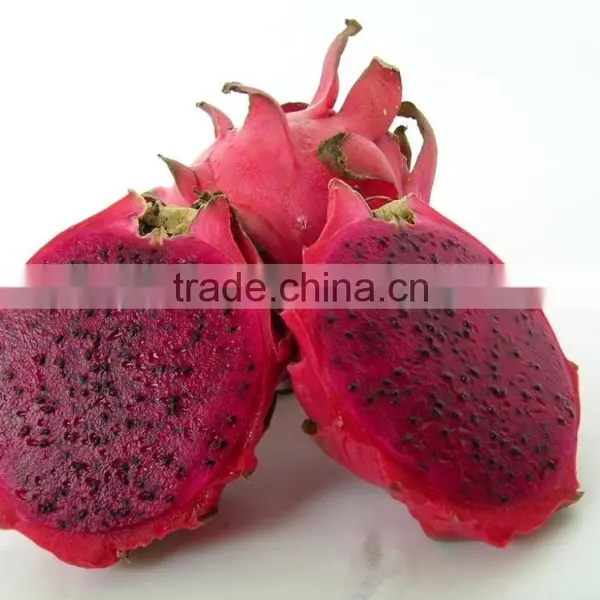 Red Flesh Fresh Dragon Fruit From Vietnam photo-2