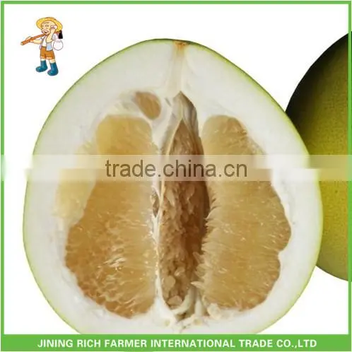 Pomelo