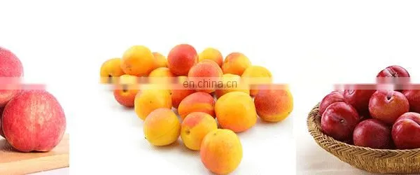 Stainless Steel Coconut Milk Screw Industrial Fruit Apple Watermelon Mango Pineapple Juice Crusher Juicer Extractor Machine photo-4
