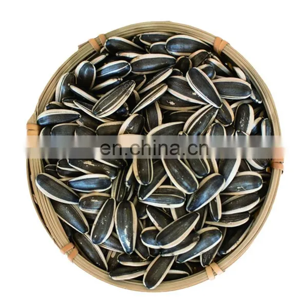 Argentina Sunflower High Oil Seeds