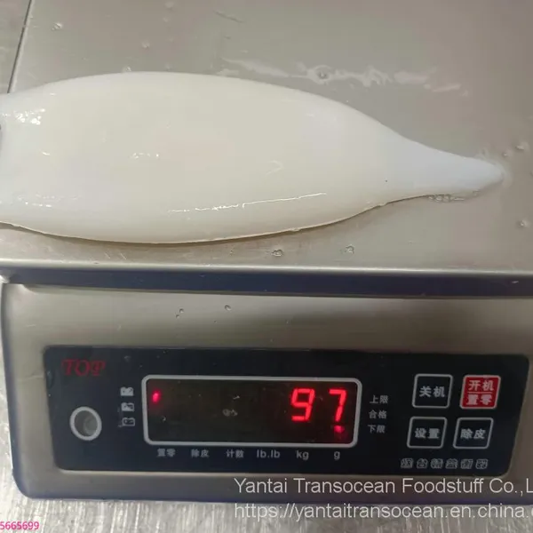 Squid Tube