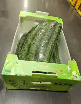 Custom Foldable Plastic Corrugated Boxes – Eco-Friendly Transport Packaging for Farm Products photo-3