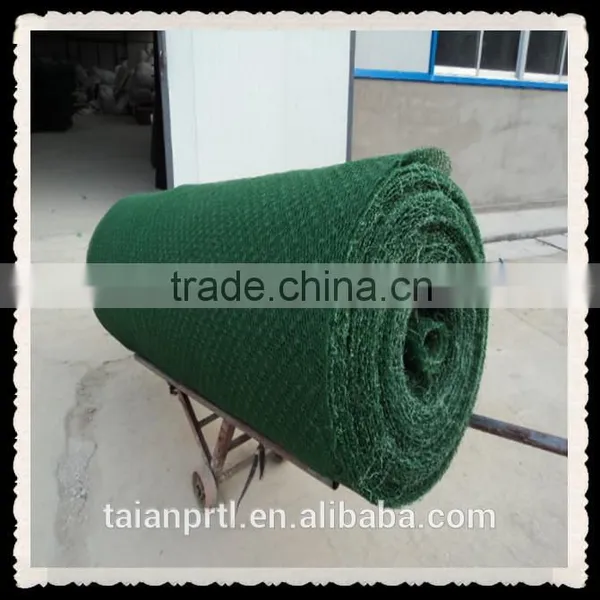 HDPE 3D Turf Reinforcement Mat (Black EM2-EM5) photo-4