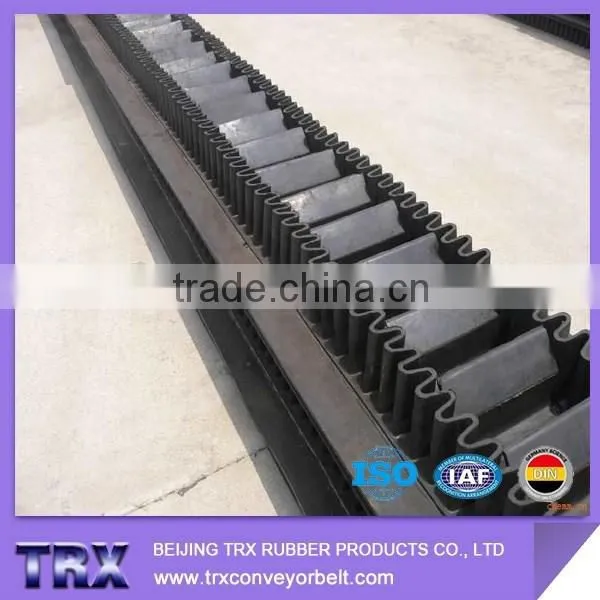 Sidewall Conveyor Belts With Small Spacing photo-2