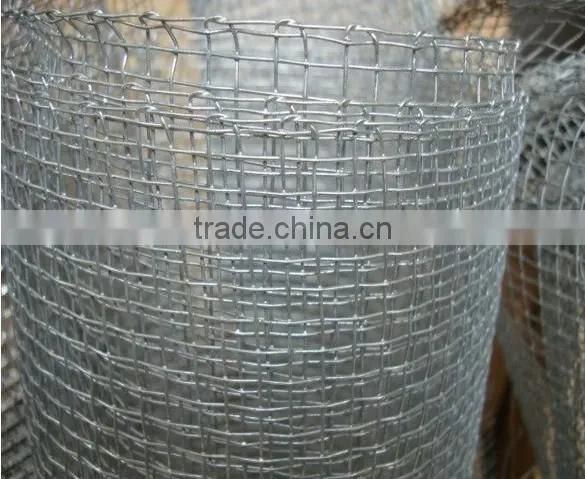 Galvanized Iron Wire Material Galvanized Square Wire Mesh photo-3