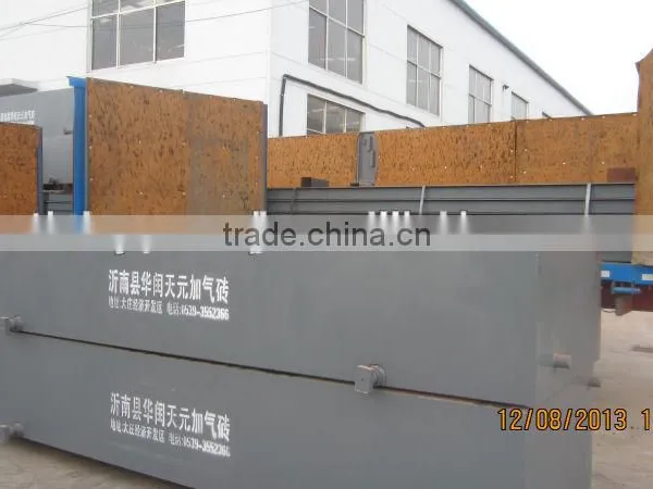 TOP Quality Fully Automatic Aac Autoclaved Aerated Light Weight Concrete Block Machine for Sales - TIANYUAN BRAND photo-4