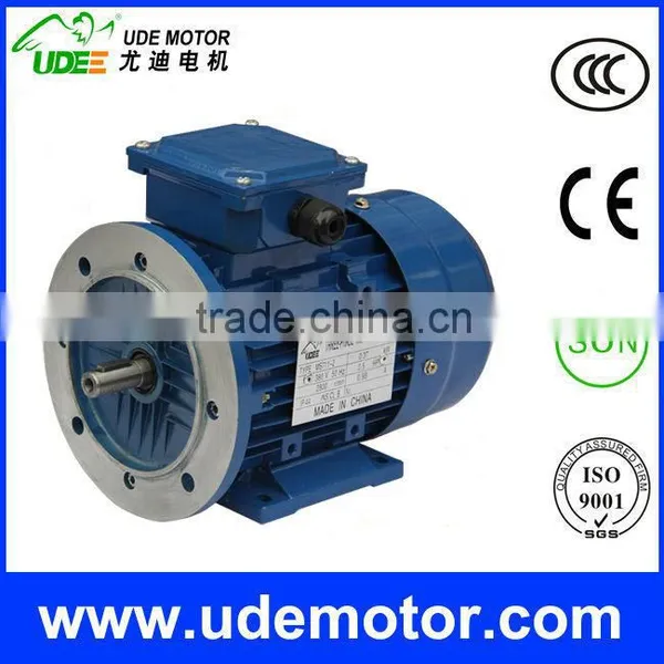 MS Three Phase Asynchronous Motor