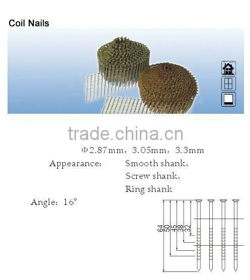 Coil Nails