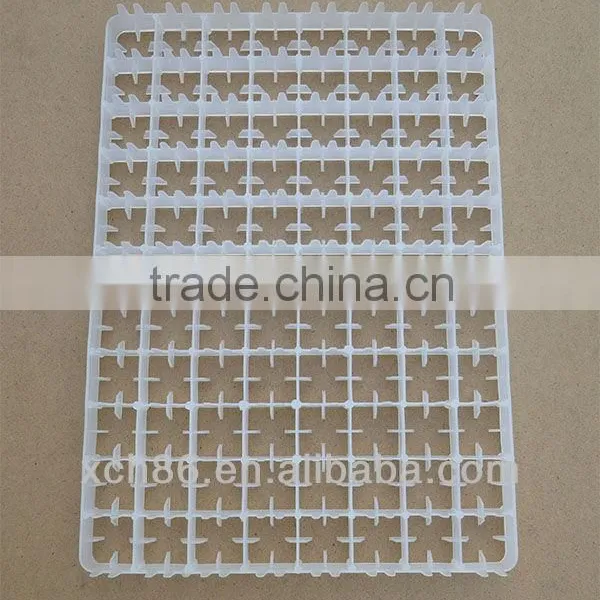 Custom High Quality Professional Plastic Quail Egg Tray With Holes photo-2