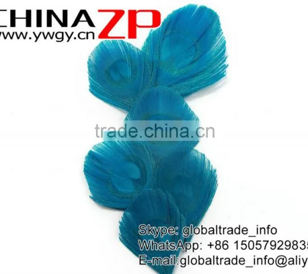 Leading Supplier CHINAZP Wholesale Wonderful Good Dyed Turquoise Trimmed Peacock Feathers Eyes for Earrings photo-4