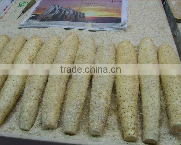 Fresh Chinese Yam From New Crop in 2016