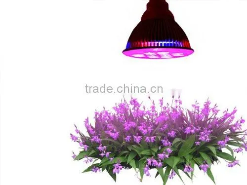 7w/9w12w LED Grow Light Red & Blue LED Spectrum for Indoor Plant Growing photo-4