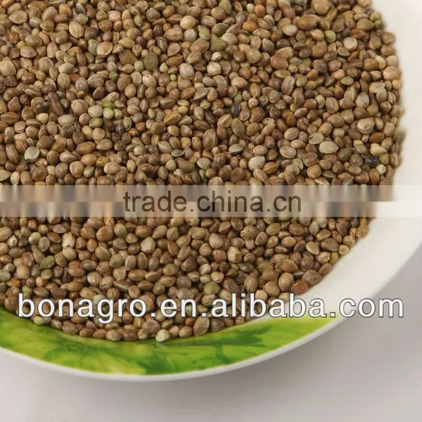 Temp Seeds for Birds Food