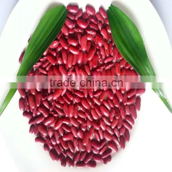 JSX Cooking British Red Kidney Bean Round Shape Food Grade Red Kidney Bean photo-6