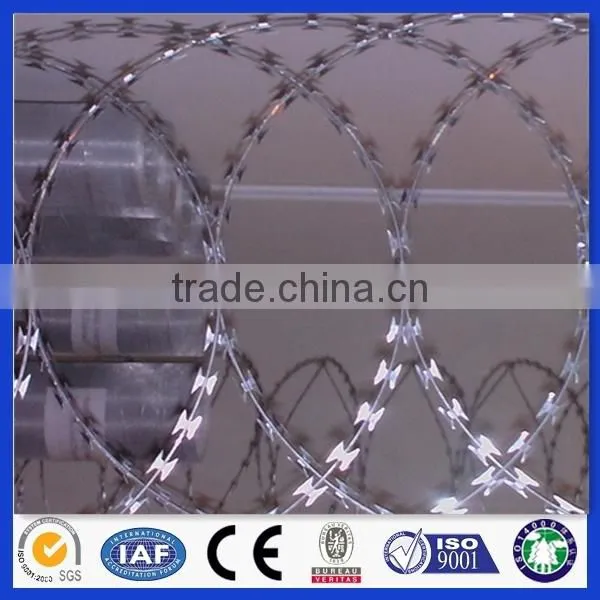 China Supplier Hot Dipped Razor Barbed Wire photo-2