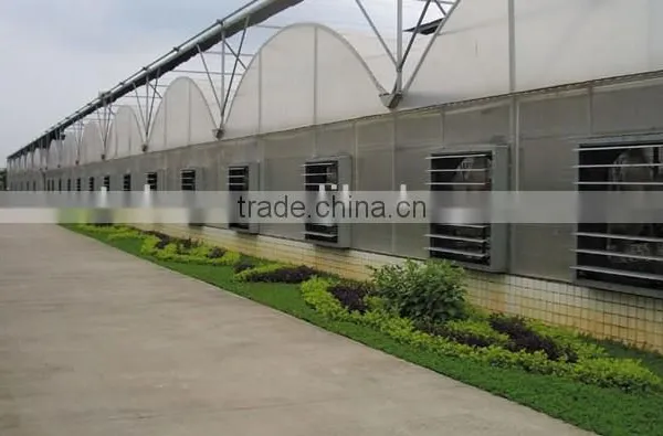 36 Inch Wall Mounted Exhaust Fan Agricultural/industrial/poultry Ventilator in Guangzhou photo-5