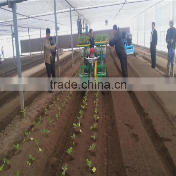 High Quality Seed Planter for Tractor Vegetable photo-6