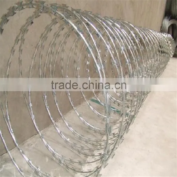 New Premium Potect Material Iron Fence Wire Bulk Galvanized Barbed Wire Made in Anping/Barbed Wire photo-5