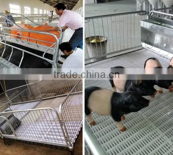 High Quality Pig Cage/pig Equipment/poultry Farm Equipment photo-6