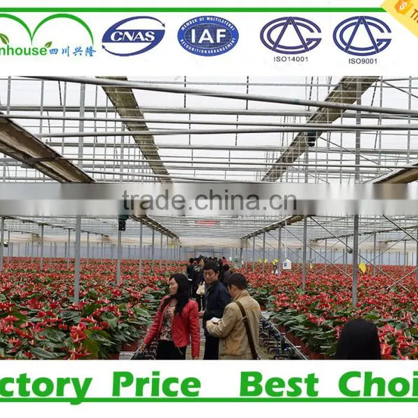 High Quality Garden Greenhouse Polycarbonate for Sale photo-4