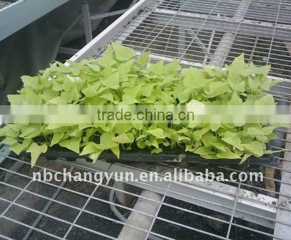 8417 512cells Seed Tray for Planting photo-2