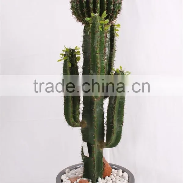 SJ3001106 Plastic Cactus Indoor Outdoor Potted Plant Tree photo-5