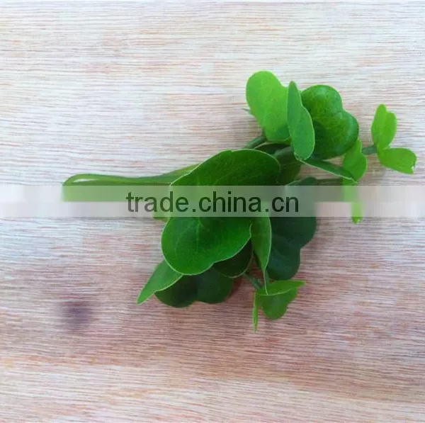 Home and Outdoor Garden Edging Christmas Decoration 60cm or 24inches Height Artificial Small Grass for Green Wall E04 1040 photo-2