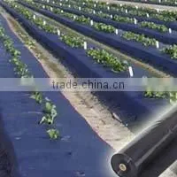 Spunbond Nonwoven Fabric Weed Barrier Cover photo-4
