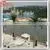 2017 Wholesale Ourdoor Artificial Fack Fiberglass Coconut Tree Decoration photo-4