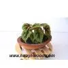 Plant Caddy, Plant Dolly, Flower Pots