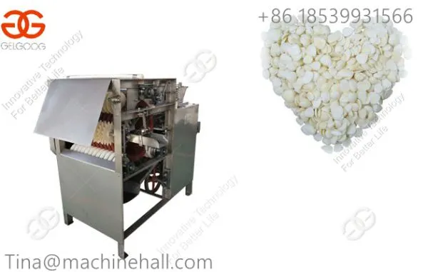 High Effiency Wet Almond Peeling Machine for Sale Almond Peeling Machine photo-2