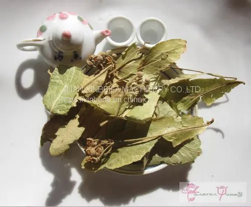 Linden Dried Tea Drying Machine photo-5
