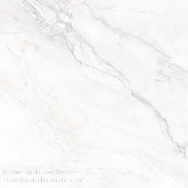 Fullbody Tiles / Glazed Tiles 800X800 photo-4
