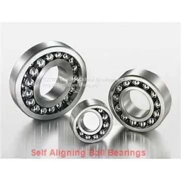 Skf 2213 E-2RS1KTN9 + H 313 E Self-aligning Ball Bearings photo-2
