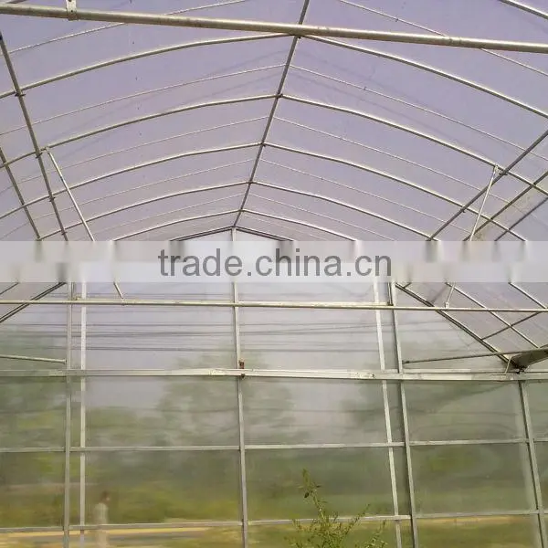 Agriculture Greenhouse photo-4