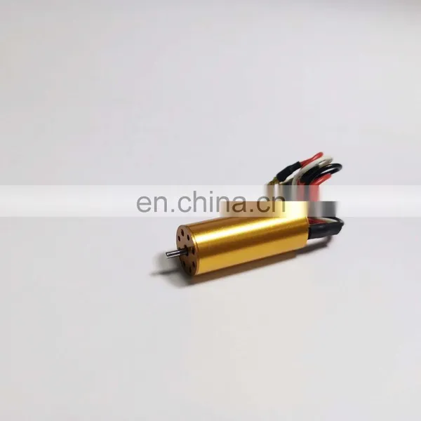 Permanent Magnet Construction Bldc Motor Brushless for Hair Dryer 1230ZWW photo-2