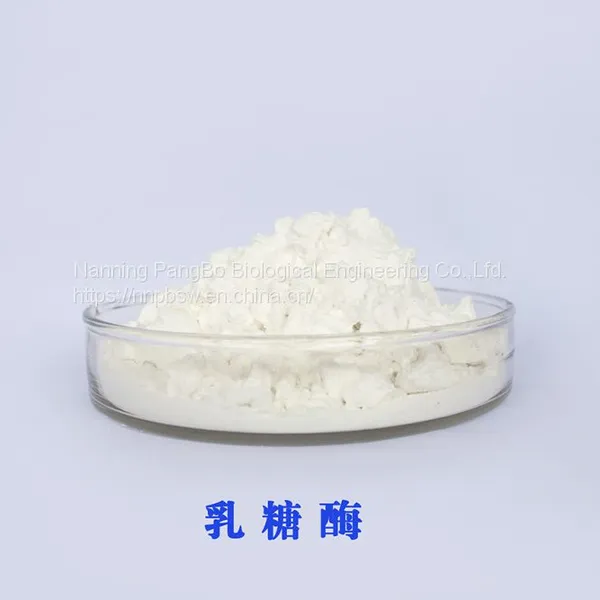 Lactase Food Grade CAS:9031-11-2 β- Galactosidase photo-2