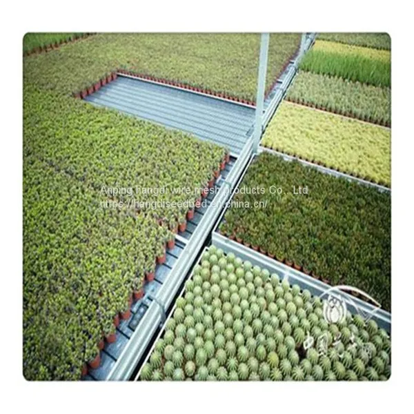 Производитель посевных луж tidal seedbed