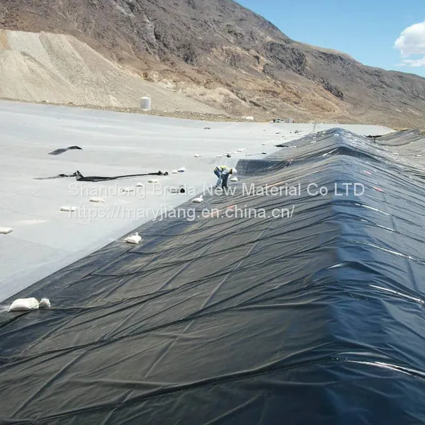 HDPE Geomembrane