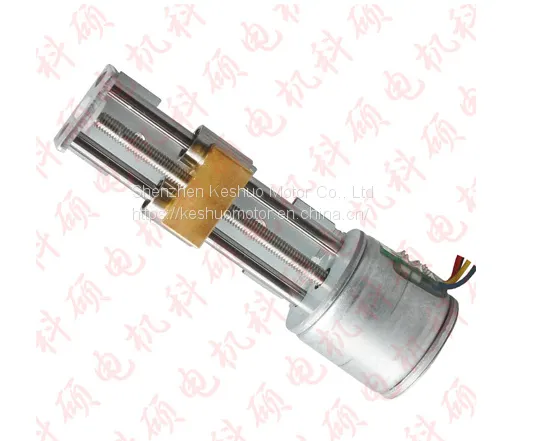 Miniature Stepper Motor Screw Slide Motor Biochemical Analyzer Stepper Motor photo-2